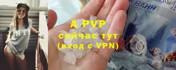 винт Алзамай