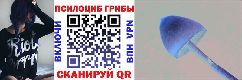 Галлюциногенные грибы Cubensis  купить  цена  площадка какой сайт  Карабаш 